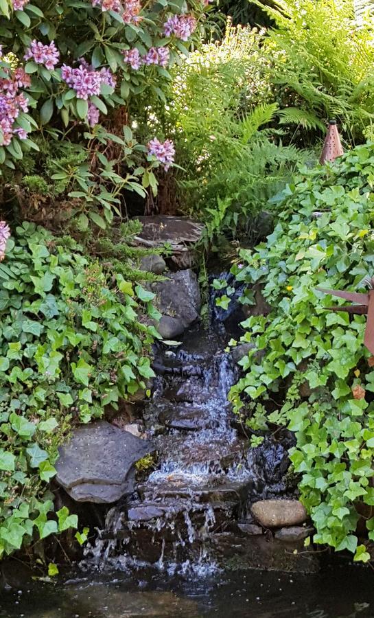 Five Seasuns Bed And Breakfast Port Angeles Luaran gambar